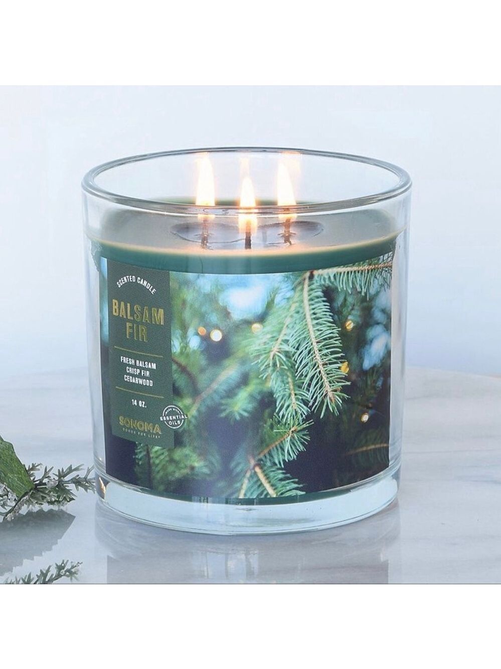 Sonoma Goods For Life Balsam Fir Candle 14 oz.